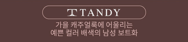 탠디